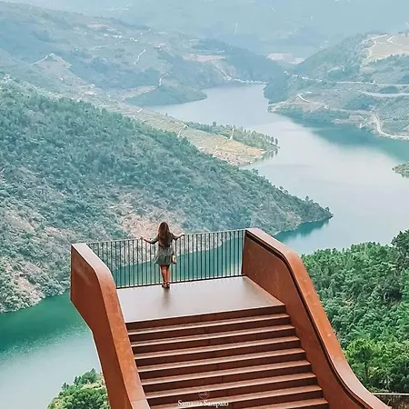 Achego Transmontano Alfândega da Fé